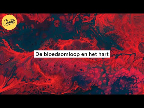 Video: Bevatten longaderen zuurstofrijk bloed?