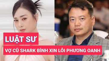 Luật sư của vợ cũ Shark Bình xin lỗi Phương Oanh