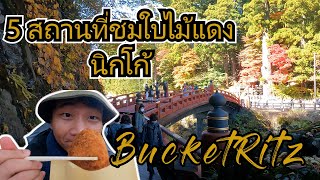 เที่ยวนิกโก้ เมืองมรดกโลกแห่งญี่ปุ่น กับจุดชมใบไม้แดงแบบ 1 Day trip ! / Nikko vlog / BucketRitz