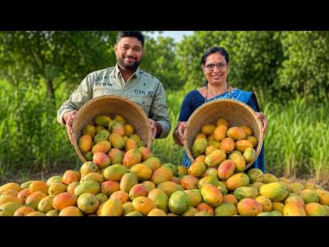 मैंगो शीरा | Mango sheera Recipe In Marathi