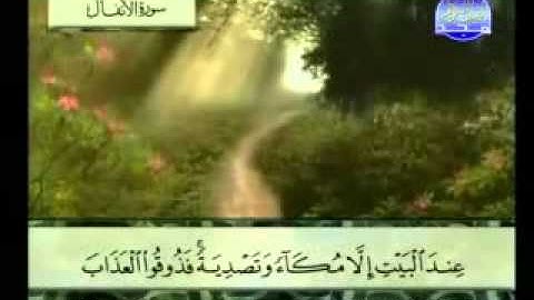 سورة الانفال كاملة الشيخ عبدالباسط عبدالصمد