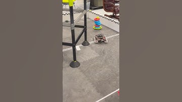 VEX V5 Omni / Swerve Robot Drivetrain 🛹 #vexrobotics #robotics #cool