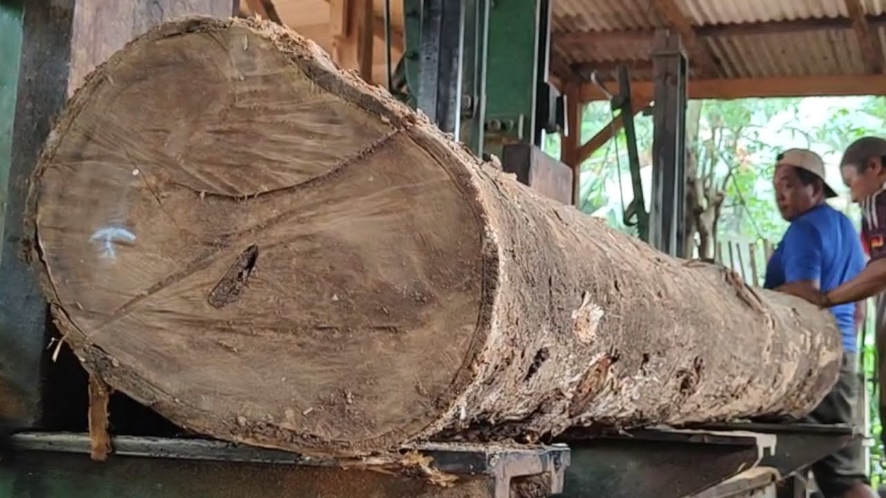 Beautiful teak wood sawing process for frame beams and furniture #201 ...