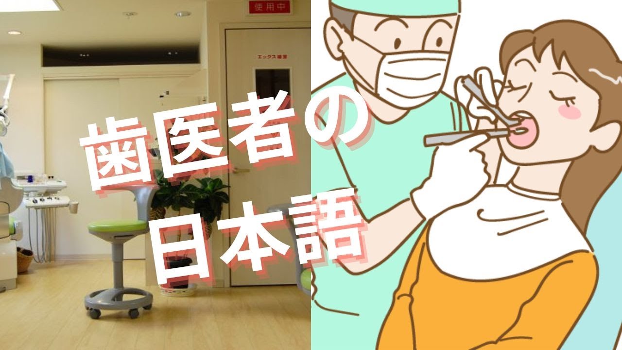 【日本語会話】歯医者で使う日本語 dentist japanese　