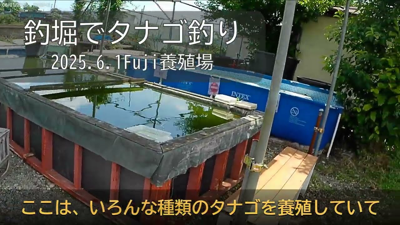 タナゴの釣堀に行ってきた