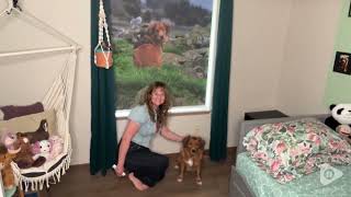 ZSHINE Custom Printed Motorized Roller Blinds
