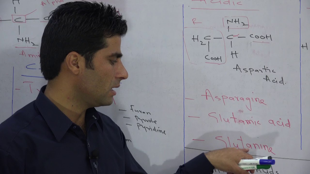 Classification of Amino Acids by Asad Urdu Hindhi YouTube