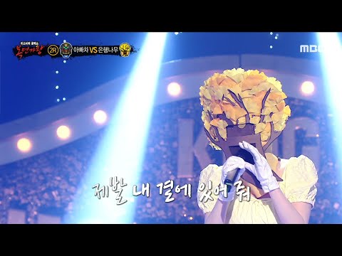 복면가왕 은행나무 2라운드 무대 애송이의 사랑 MBC 231022 방송