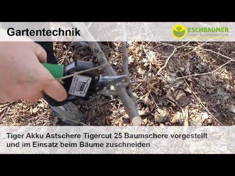 Video: Elektrische Baumschere: Wie Wählt Man Eine Langstielige Gartenkettenschere Zum Beschneiden Von Bäumen? Merkmale Der Bosch-Modelle