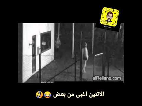 لصان اغبى من بعض Ideot Theifs