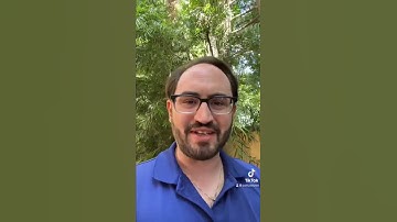 Auditory Illusions: McGurk Effect