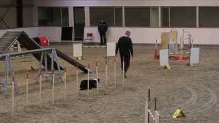 20140201 - WAO Selectie 2014 - Hein van Bommel met Fabio - Vast Parcours 1.