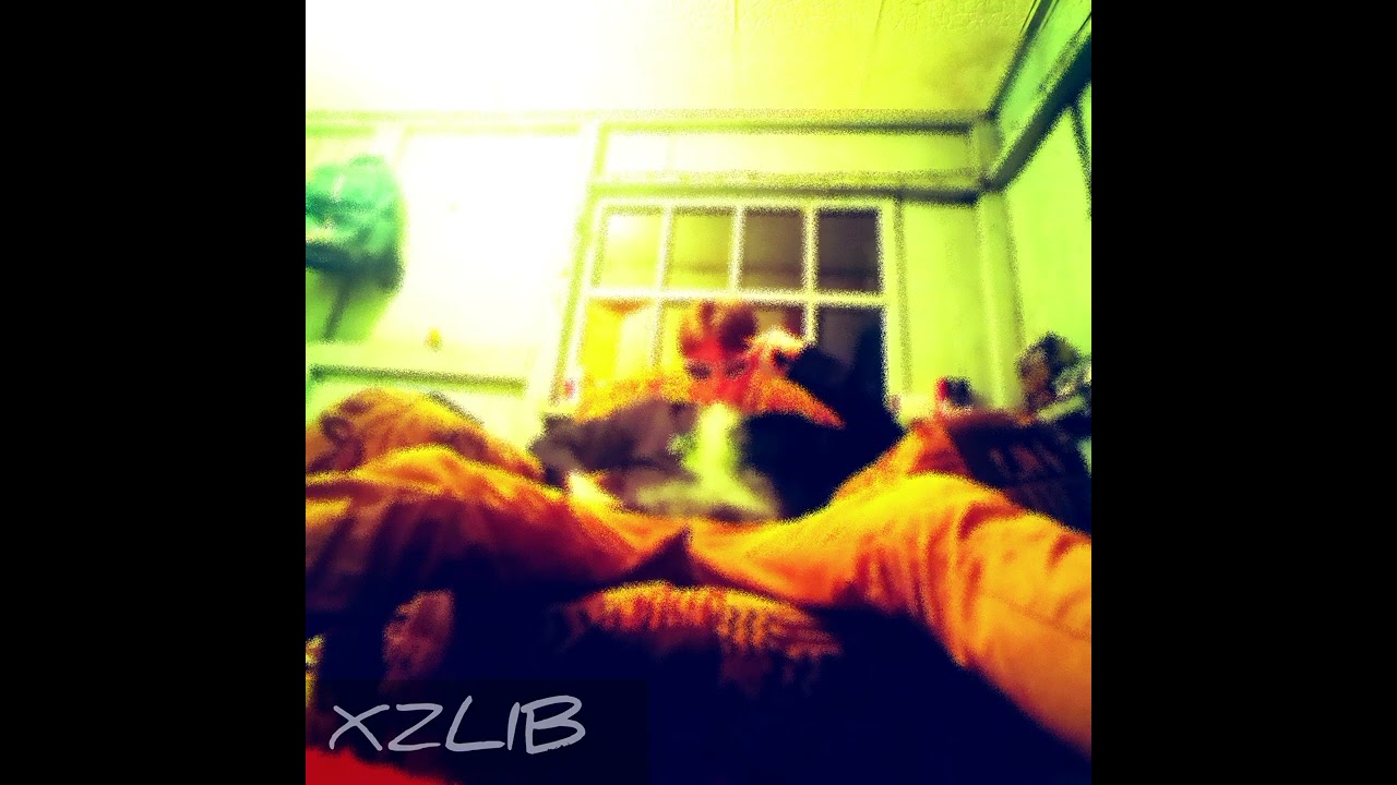 XZLIB - HQD (Премьера трека)