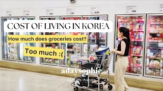 Korean Costco | How much does groceries cost in Korea? 🇰🇷 E-MART TRADERS TOUR by adaysophie 2,802 views 1 year ago 10 minutes, 22 seconds