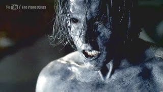 Lycan vs Vampire | Big Battle | Action Scene from Movie Underworld (2003 film)