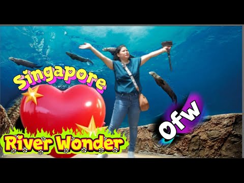 Exploring River Wonders #Singapore #adventure #explore #travelvlog