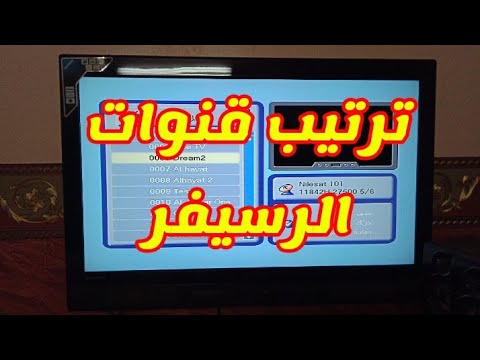 فيديو: منحوتات خزفية مذهلة من فنان ايرلندي