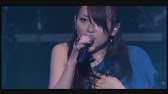 歌ってみた Immoral 川田まみ Youtube