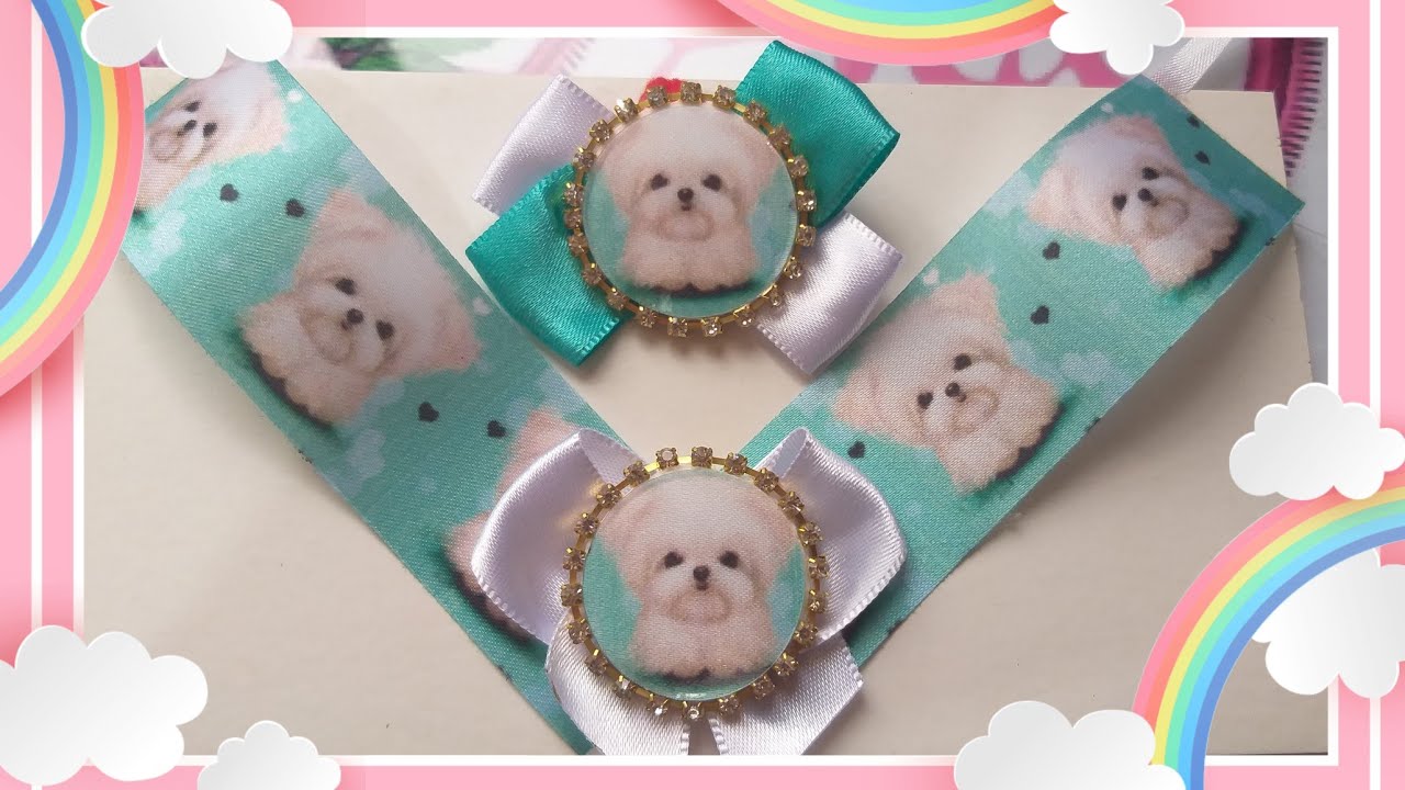 Conjunto Pet com boton laminado