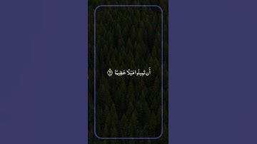 والله يريد أن يتوب عليكم 🫀 | سورة النساء | محمد صديق المنشاوي