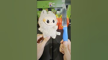What’s Inside a Labubu?