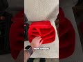 $20 vs $100 Switch 2 Case...