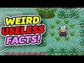 WEIRD Useless Pokemon Facts!