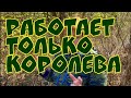 Диана Строгая/только она и работает