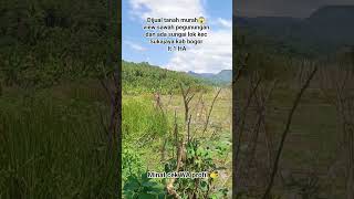 # #dijualtanahmurah banget bisa sistim belanja view pegunungan alam #shorts #fyp