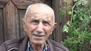Şöfor Amca