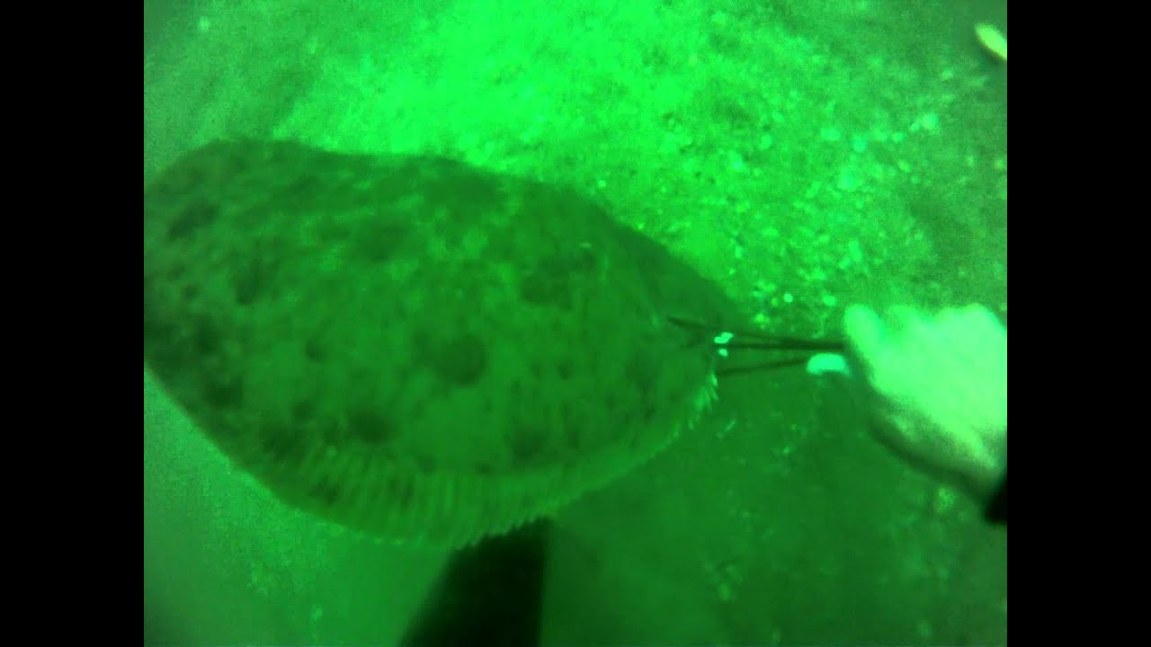 Small boat shrimp trawling. Pulling in the net by hand. 