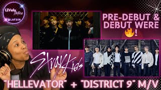 Stray Kids "Hellevator" & "District 9" M/Vs Reaction! | LIVelyAntics