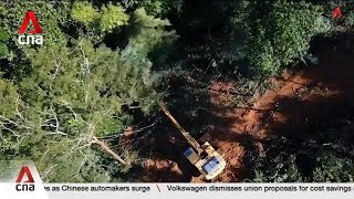EU lawmakers delay implementation of anti-deforestation rules