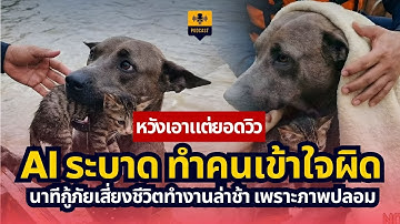 AI ระบาด ทำคนเข้าใจผิด ลำบากกู้ภัยเสี่ยงทำงานล่าช้า เพราะภาพปลอม