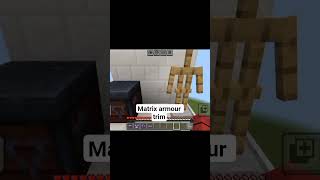 comment your favourite armour trim I make in next video armour trim series#Matrix #Lapata Smp