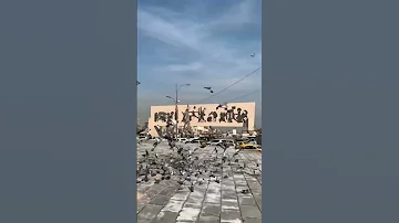 العشرة ما تهون الا الا على ابن الحرام 