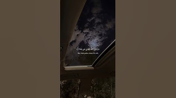سورة القصص آية ٥٦ 🌙| إِنَّكَ لَا تَهْدِي مَنْ أَحْبَبْتَ وَلَكِنَّ اللَّهَ يَهْدِي مَنْ يَشَاءُ