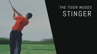 Science of the Stinger | How does Tiger Woods do it? screenshot 2