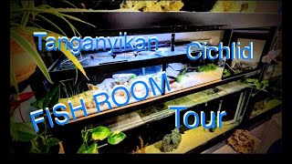 FISH ROOM TOUR ~ All Tanganyikan Cichlid Tanks