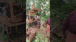 Wood Cutting Machine Power 😱🔥 #shorts#shortsfeed