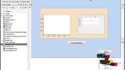 Final Year Projects | Blur and Illumination Robust Face
