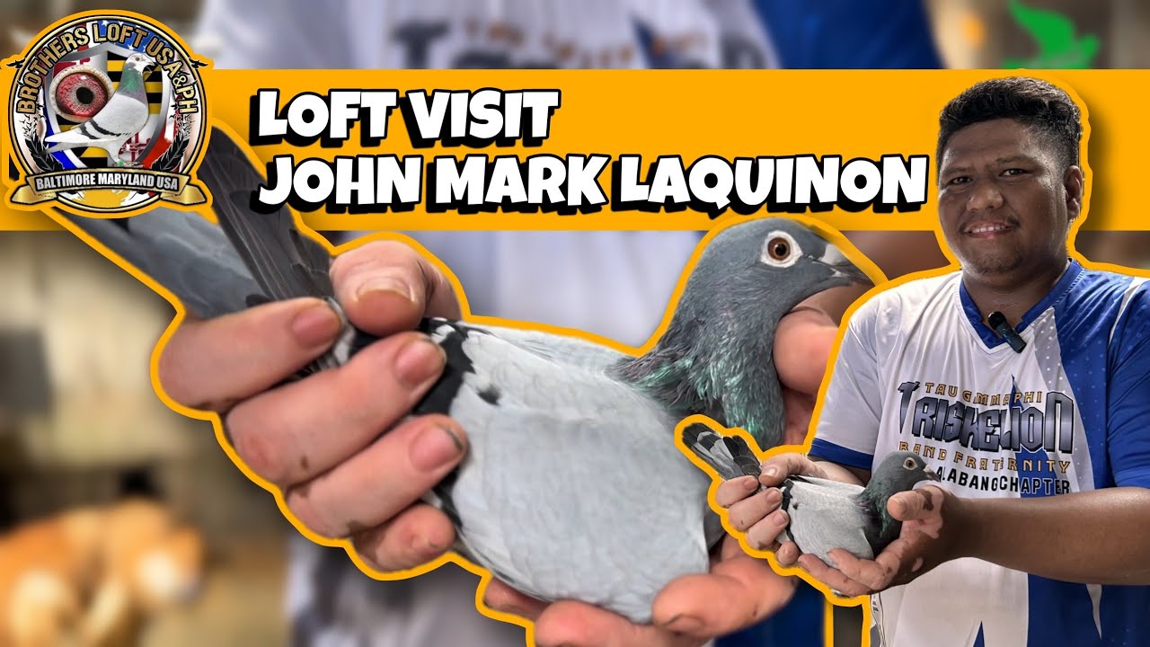 Isa sa mga bagong fancier na mahusay sa Alabang Muntinlupa