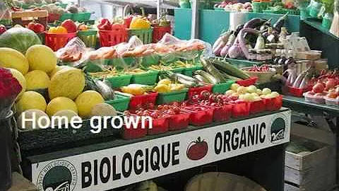 Maggie Irvin AP Lang 8- Purchase Organic Foods
