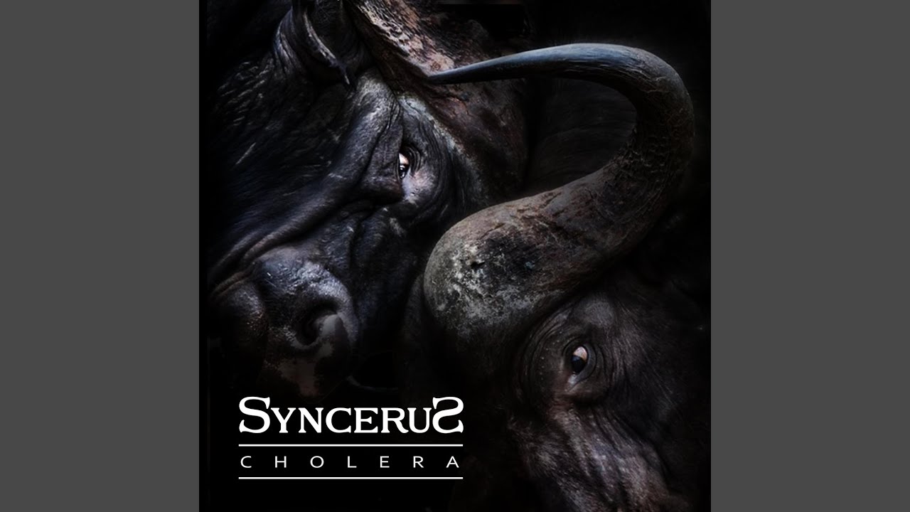 Cholera 