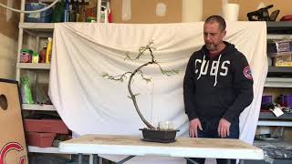 Juniper First Styling