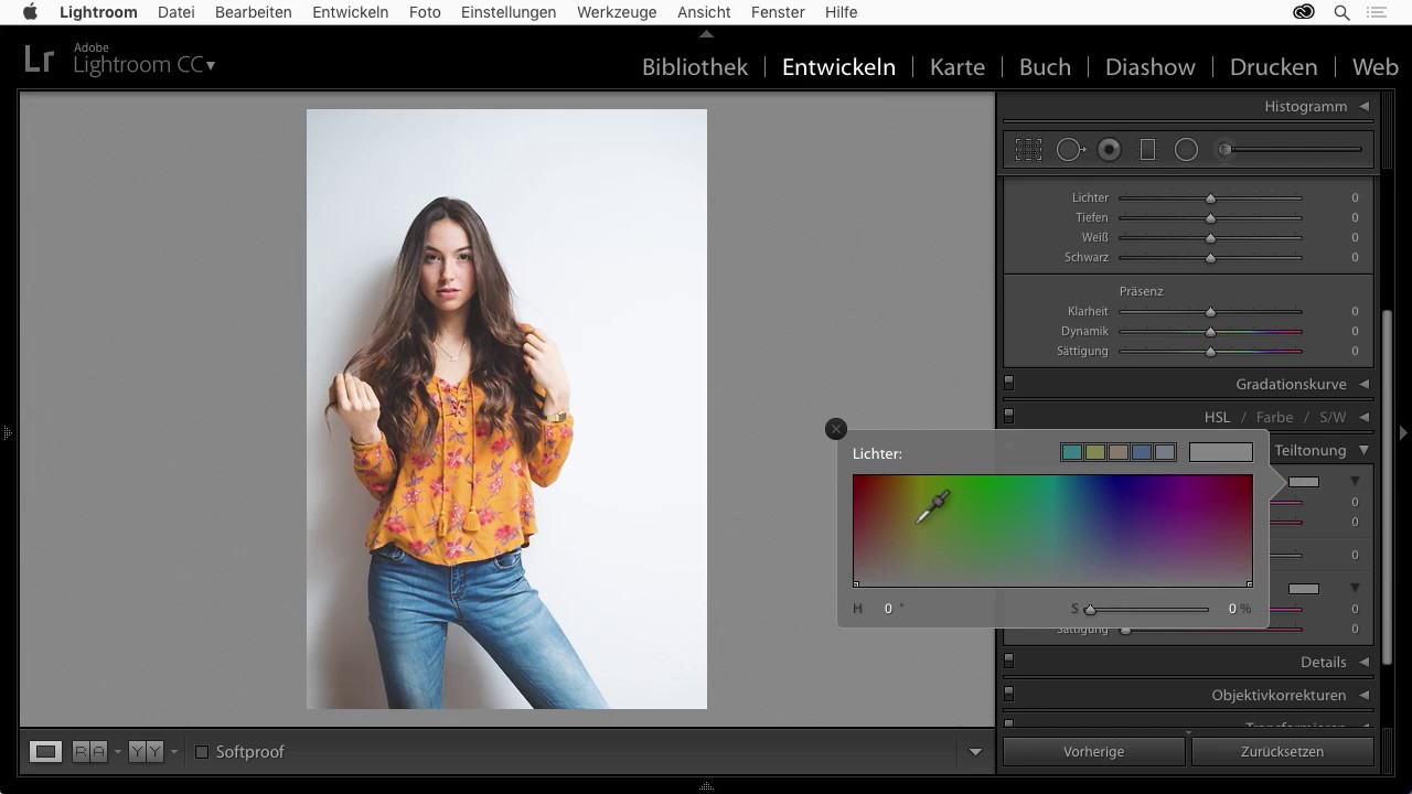 Lightroom Teiltonung Youtube