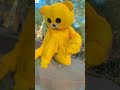 New teddy khortha songs jharkhandi tedy vlog shorts.virals