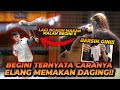 ALSHAD COBA KASIH MAKAN VALKYRIE SI GOLDEN EAGLE MAKAN ! BURUNG ELANGNYA TERBANG ALSHAD AUTO KESERET