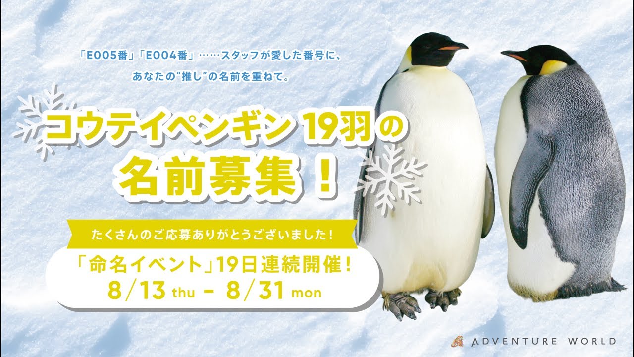 アーカイブ配信🐧 E016(プールおじさん)名前発表