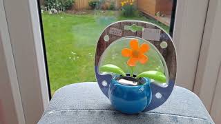 Solar Dancing Flower CSGOG 20230330 Keynsham